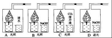 陈耿：浅析在高三生物试卷讲评中培养学生的逻辑思维能力