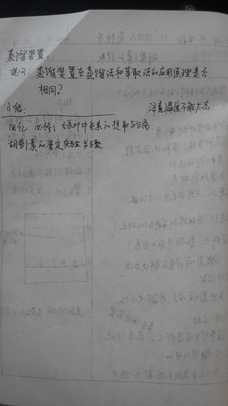 蒙芳《胡萝卜素的提取》听课记录