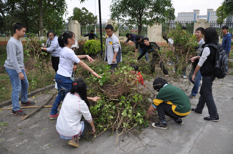 学生参加社会实践活动